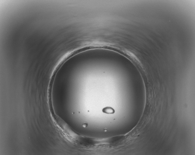 X0000054391183200508051639