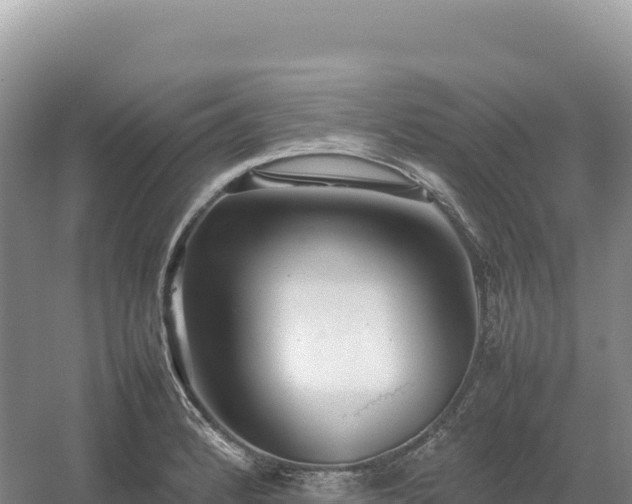 X0000054391184200508051639