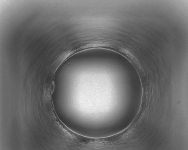 X0000054391185200508051639