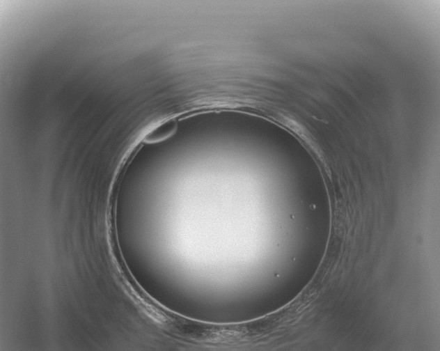 X0000054391187200508051639