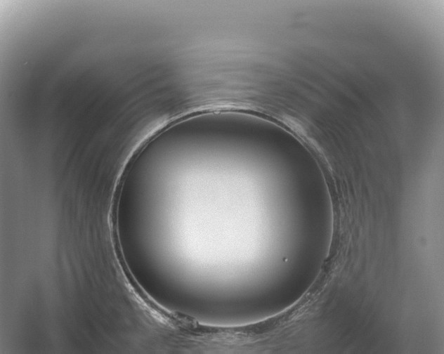 X0000054391189200508051639