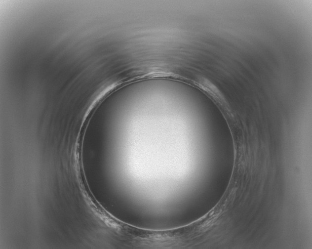 X0000054391190200508051639