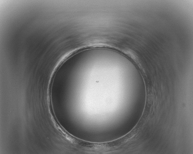 X0000054391191200508051639