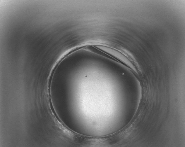 X0000054391192200508051639