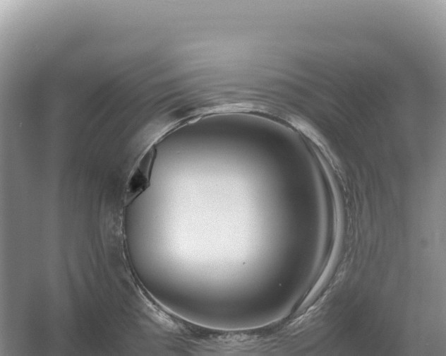 X0000054391193200508051639