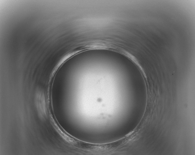 X0000054391195200508051639