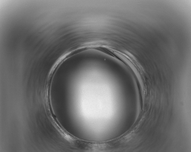 X0000054391196200508051639