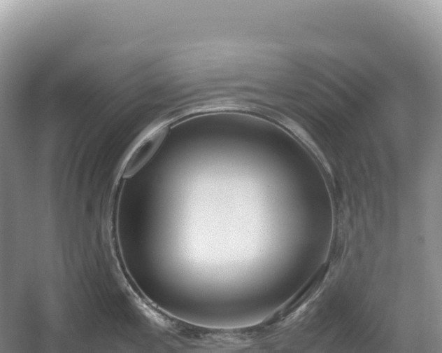 X0000054391197200508051639