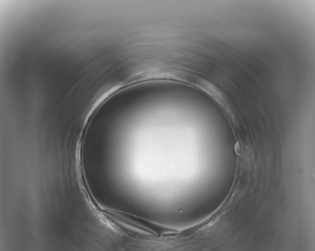 X0000054391198200508051639