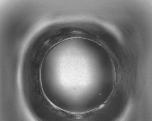 X0000054391199200508051639