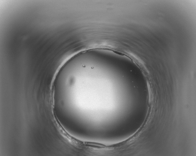 X0000054391200200508051639