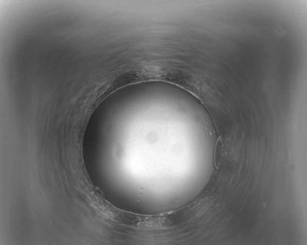 X0000054391201200508051638