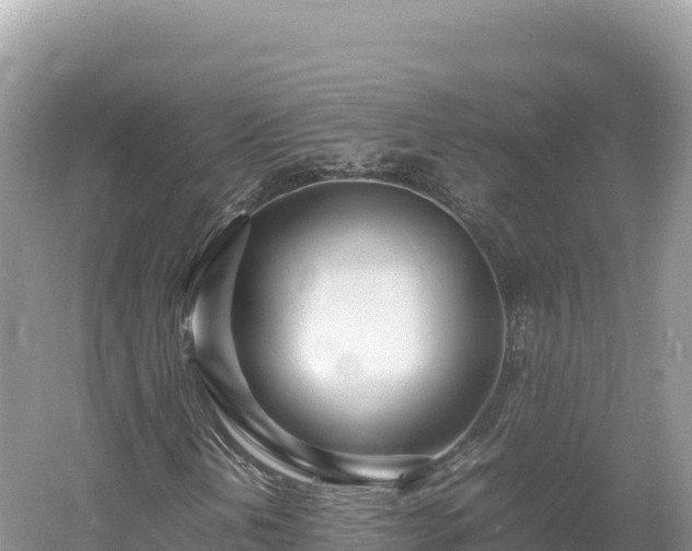 X0000054391202200508051638