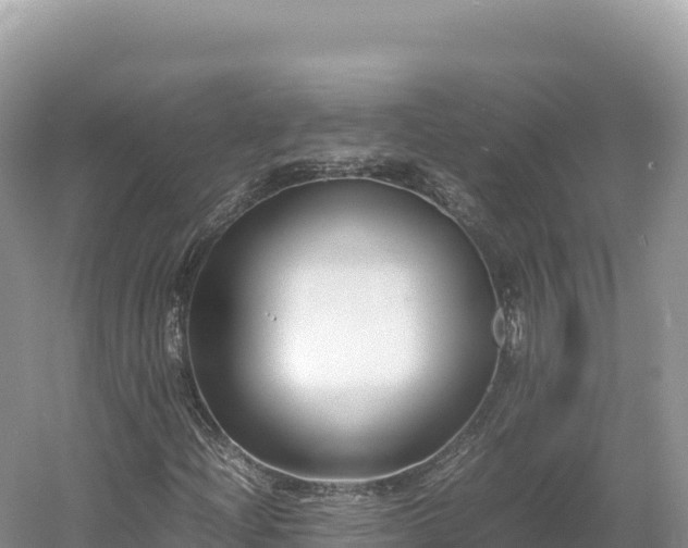 X0000054391204200508051638