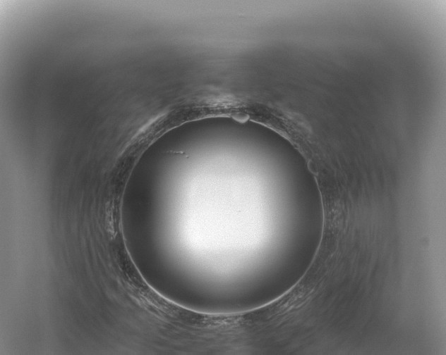 X0000054391205200508051638