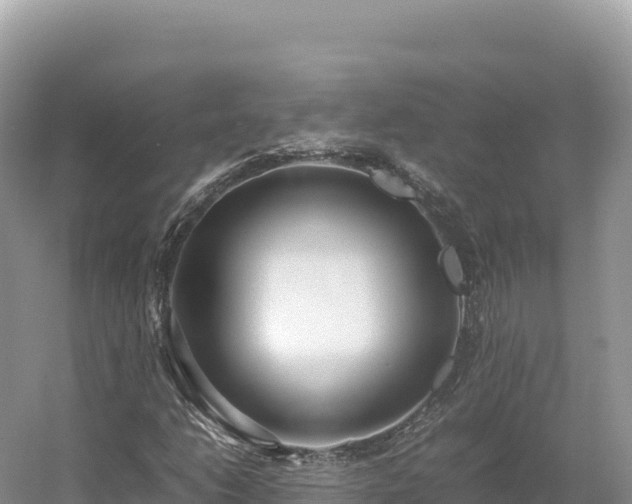 X0000054391206200508051638