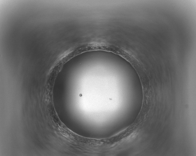 X0000054391207200508051638