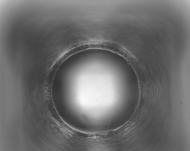 X0000054391208200508051638