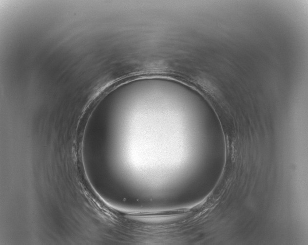 X0000054391212200508051638