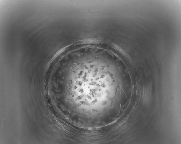 X0000054391213200508051638