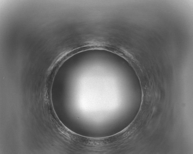 X0000054391215200508051639