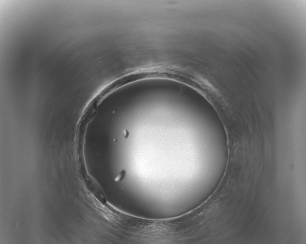 X0000054391216200508051639