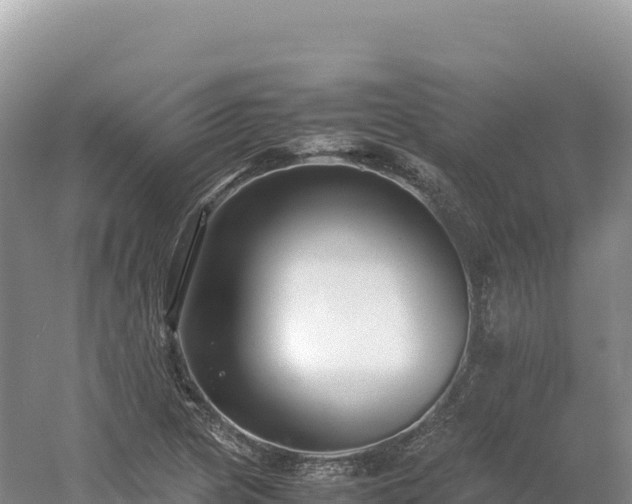 X0000054391217200508051639