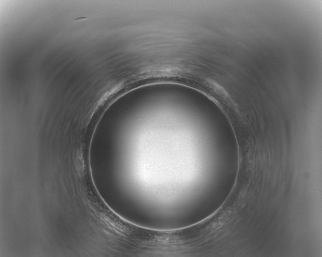 X0000054391218200508051639