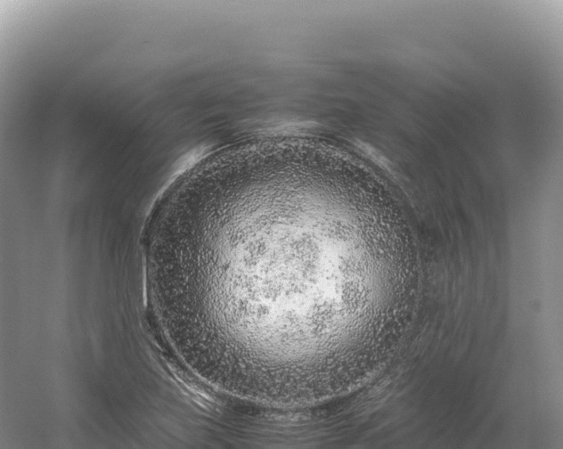 X0000054391219200508051639