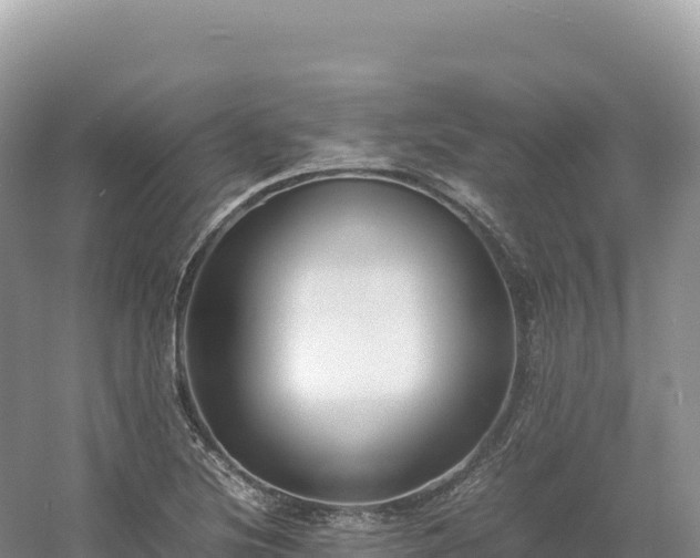 X0000054391220200508051639