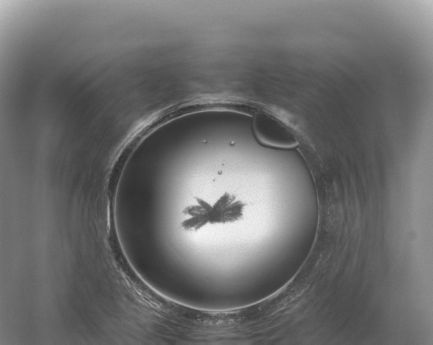 X0000054391221200508051639