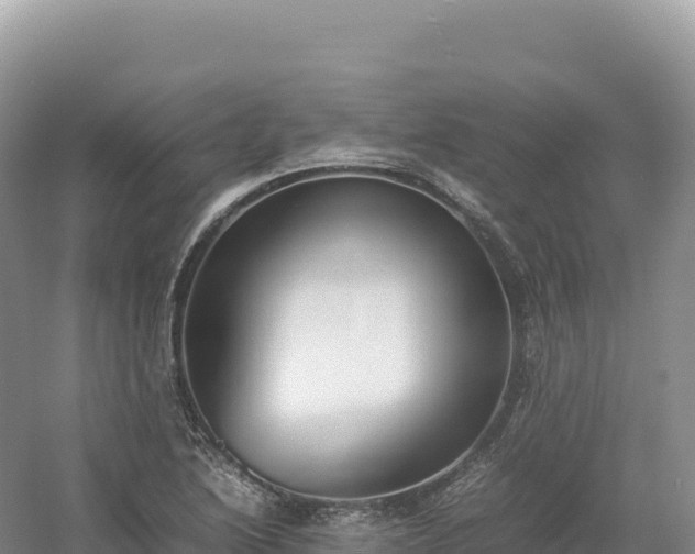 X0000054391222200508051639