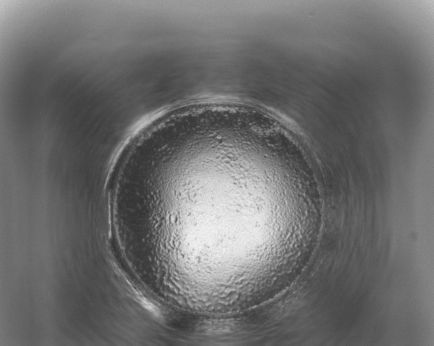 X0000054391223200508051639