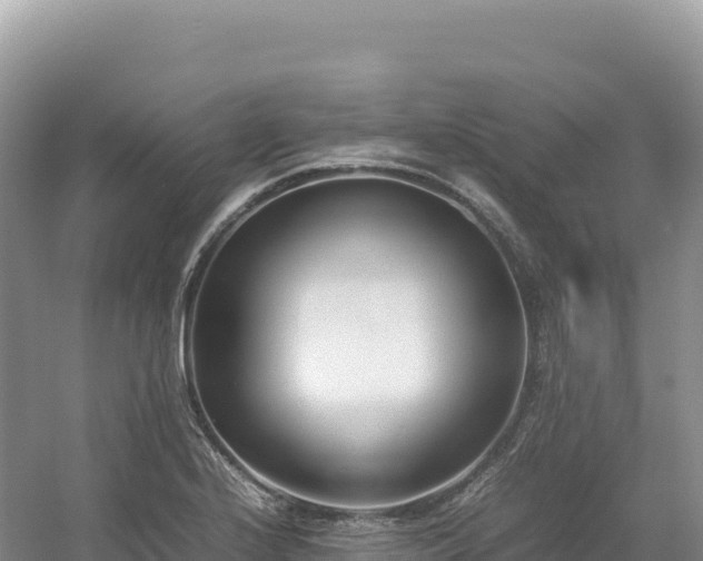 X0000054391224200508051639