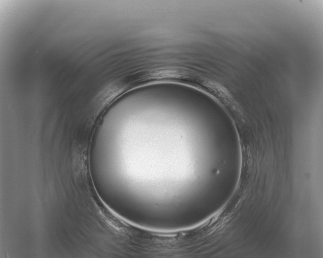 X0000054391225200508051639