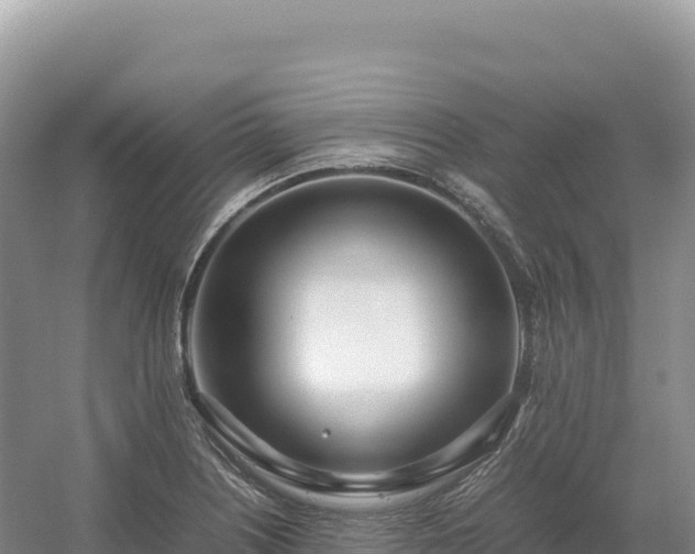 X0000054391226200508051639