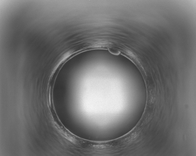 X0000054391227200508051639