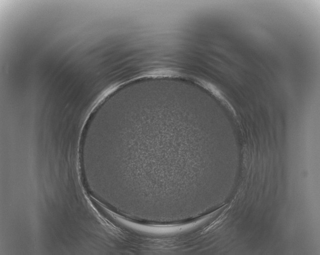 X0000054391229200508051639