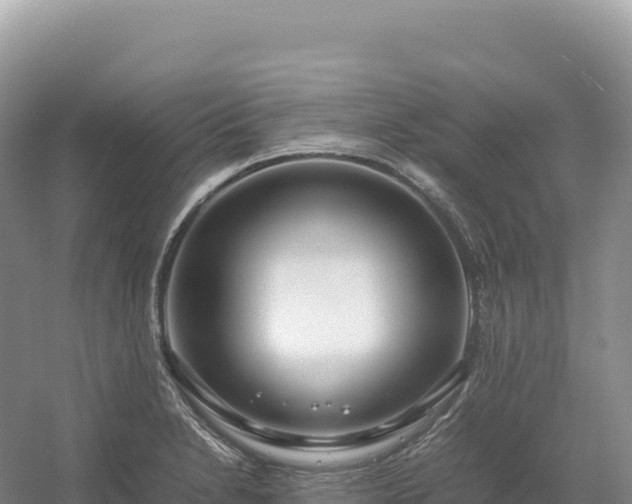 X0000054391230200508051639