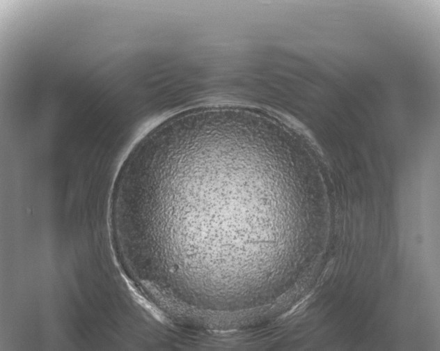 X0000054391231200508051639