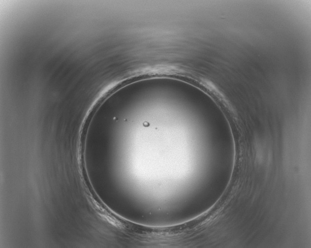 X0000054391232200508051639