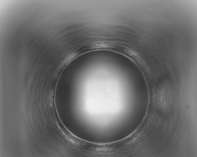 X0000054391233200508051639