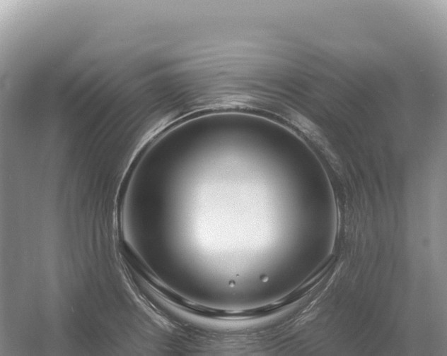 X0000054391234200508051639