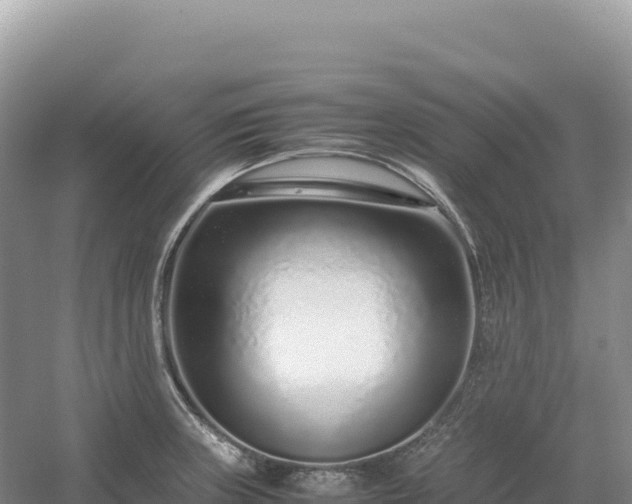 X0000054391235200508051639