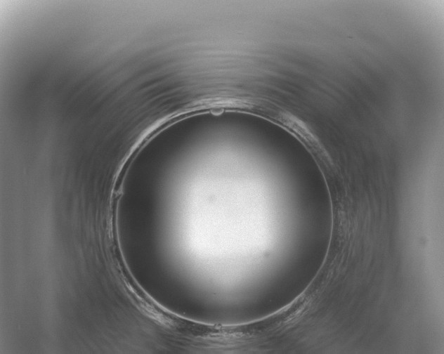 X0000054391236200508051639