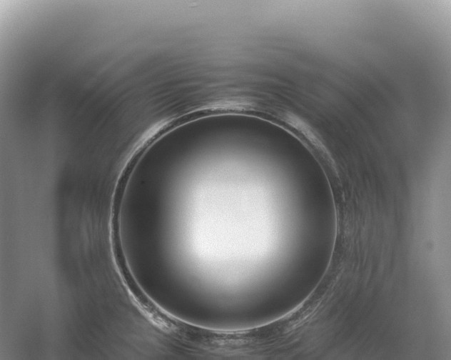 X0000054391237200508051639