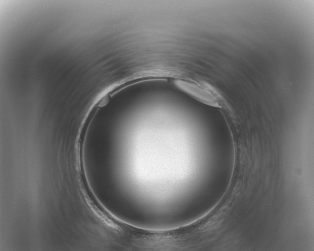 X0000054391238200508051639