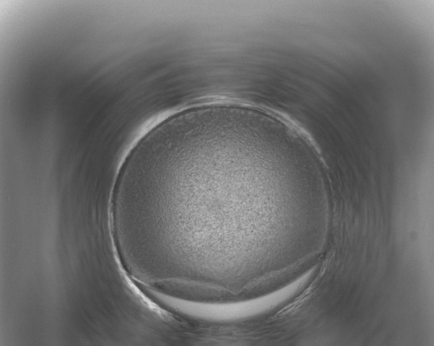 X0000054391239200508051639