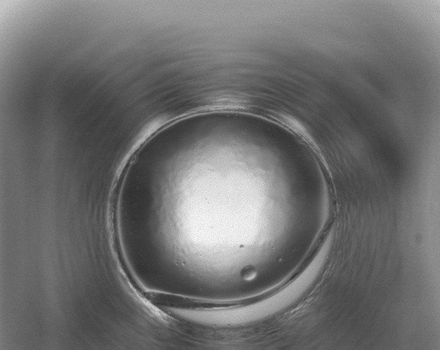 X0000054391243200508051639