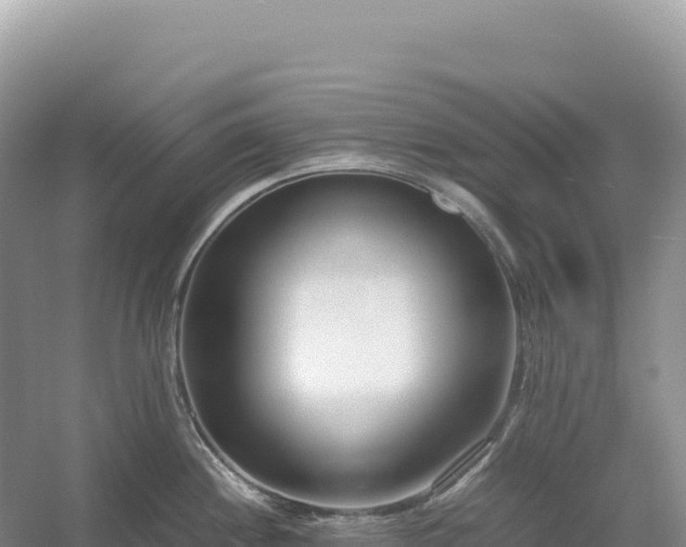 X0000054391244200508051639